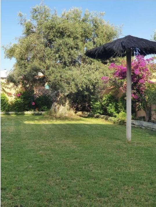 Villa Ostrero Chiclana de la Frontera Exterior photo